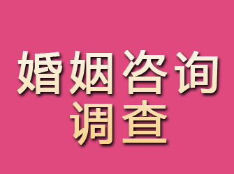 崇安婚姻咨询调查